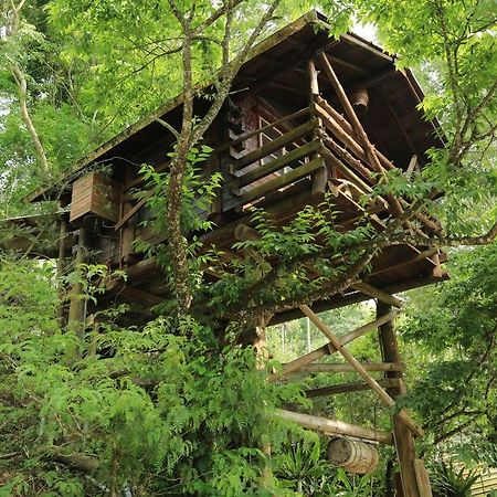 Lai Home Country Cottage B&B Meishan Bagian luar foto